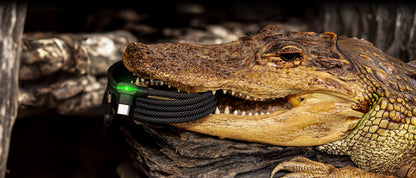 The Ultimate Charging Solution – Smart Cable™ Pro